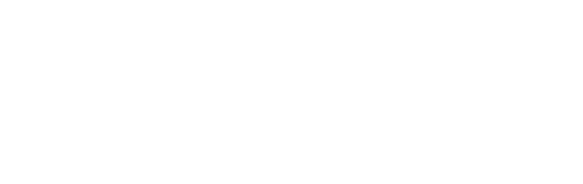Taurus Risk Management